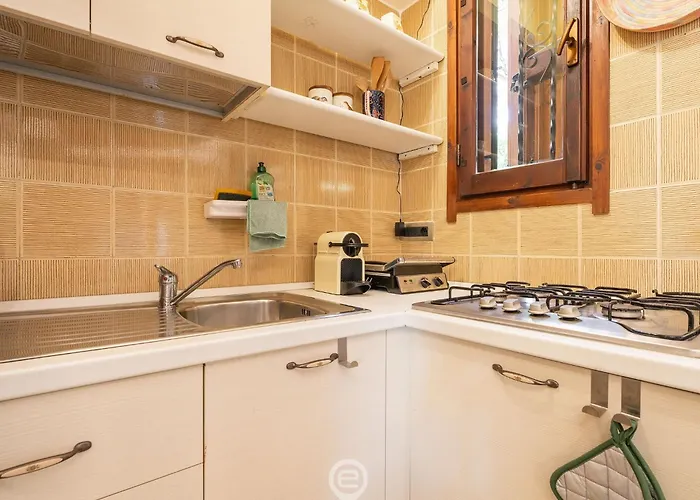 Pinus Blissful Breeze