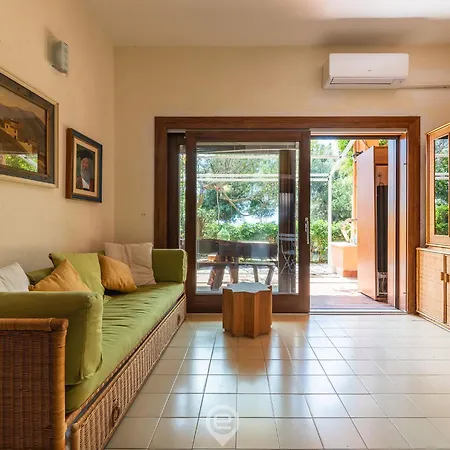 Pinus Blissful Breeze * Fort Village