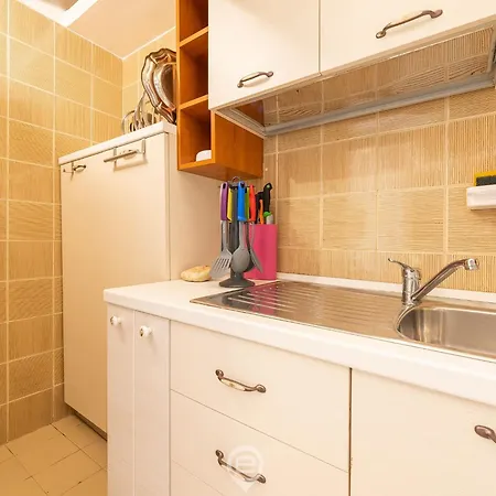 Pinus Blissful Breeze *