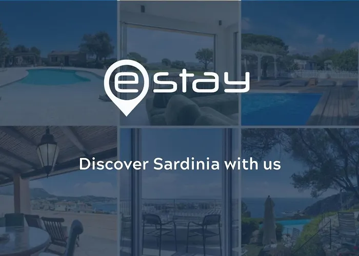 Pinus Blissful Breeze Fort Village