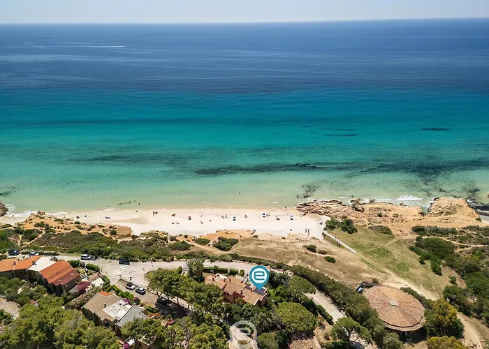 Pinus Blissful Breeze * Fort Village