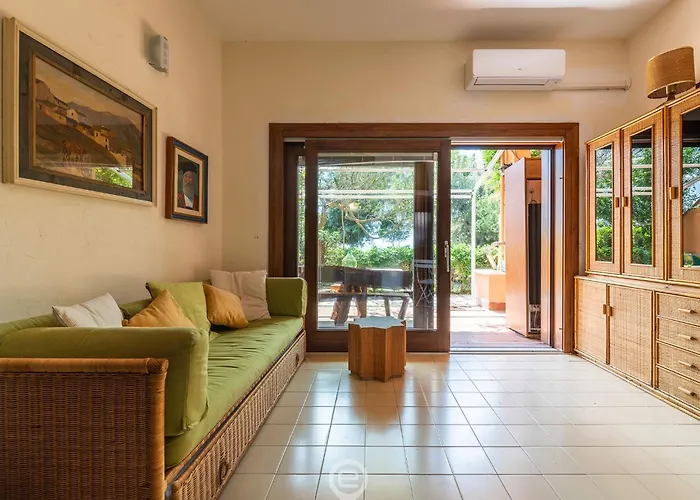 Pinus Blissful Breeze * Fort Village