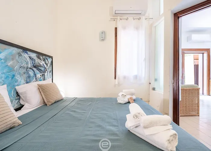 Pinus Blissful Breeze *