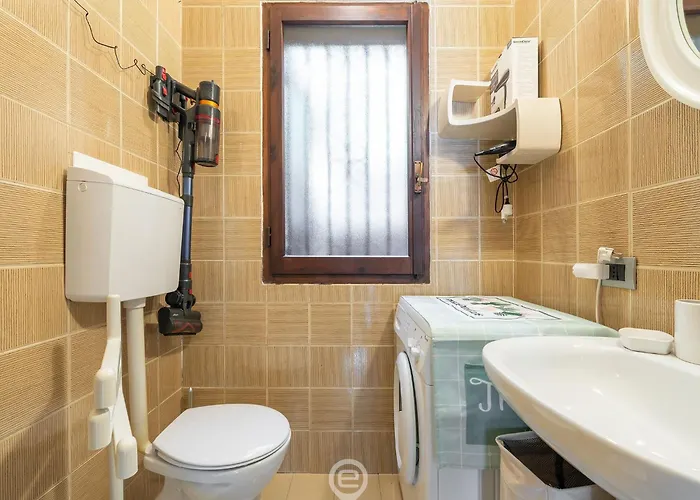 Pinus Blissful Breeze