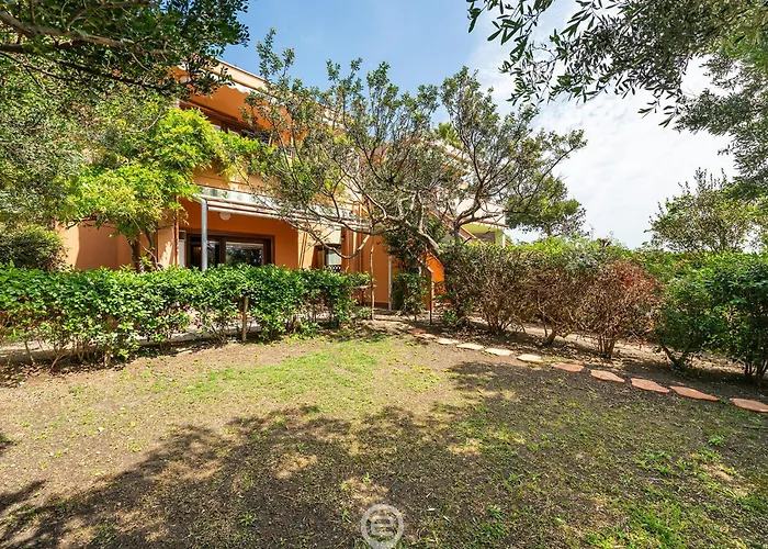 Pinus Blissful Breeze Fort Village