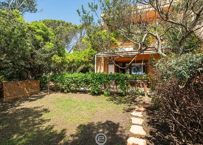 Pinus Blissful Breeze * Fort Village