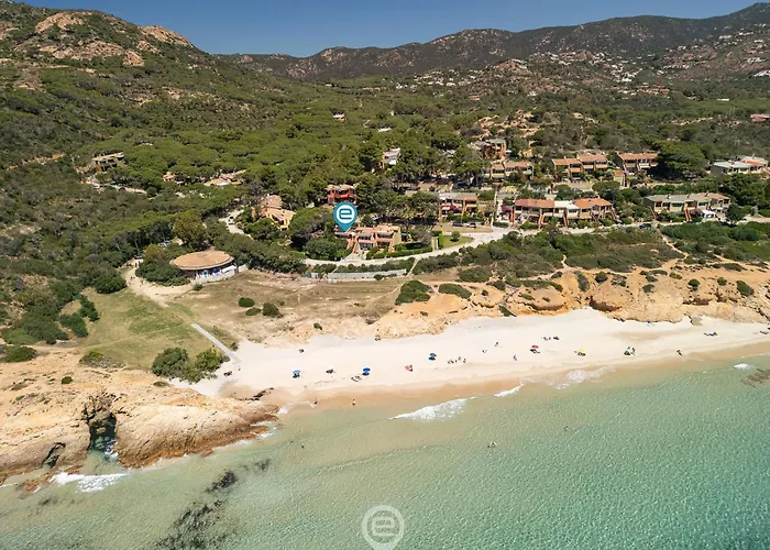 Pinus Blissful Breeze * Fort Village